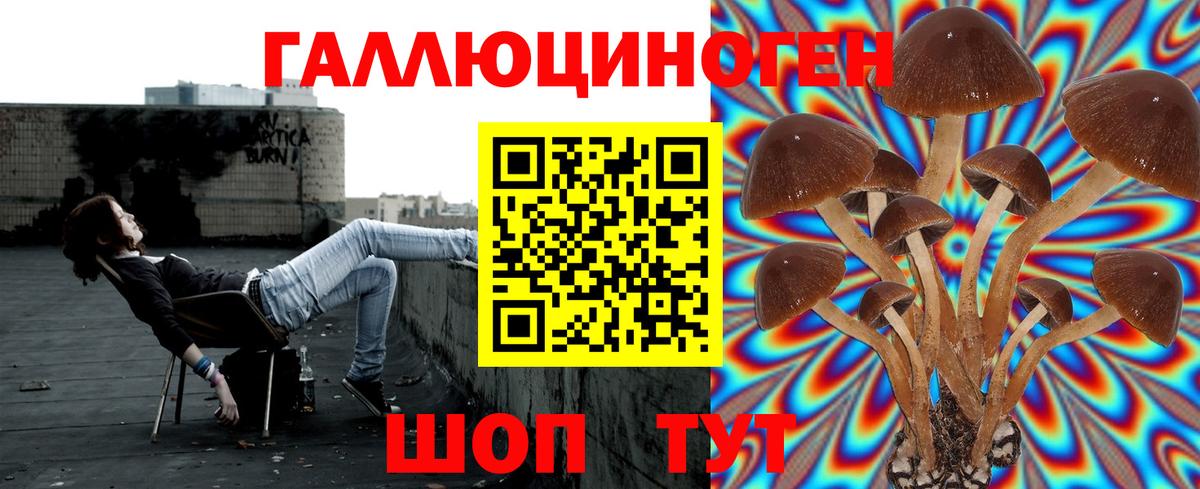 Фрязино  Галлюциногенные грибы Magic Shrooms  Вход с VPN 