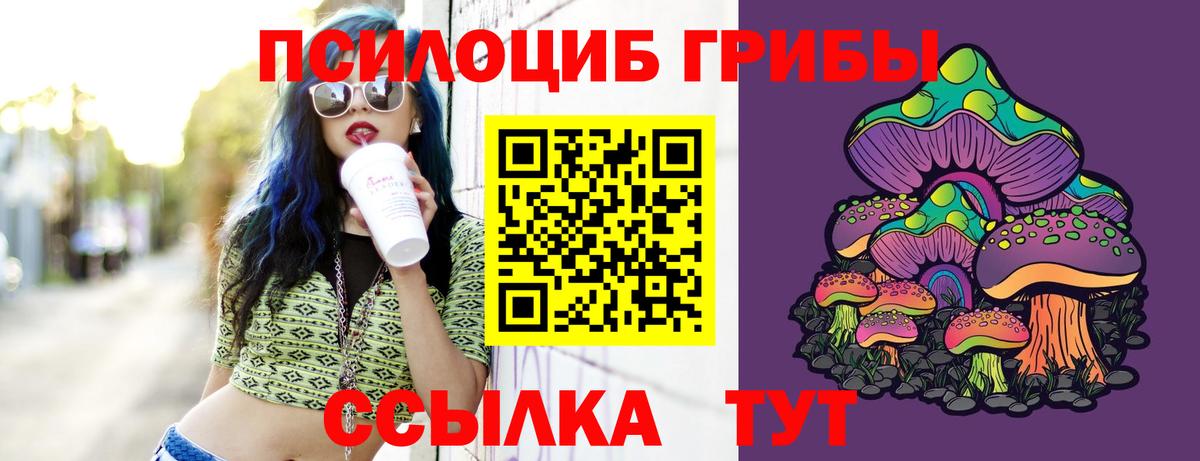 Галлюциногенные грибы мухоморы Фрязино