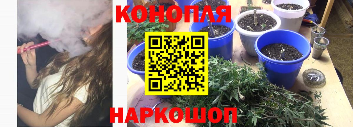Шишки марихуана индика  Вход с VPN  Бошки марихуана OG Kush  Фрязино  Канабис гибрид 